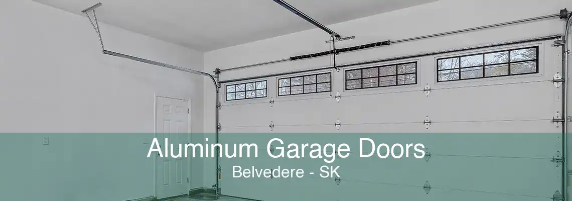 Aluminum Garage Doors Belvedere - SK