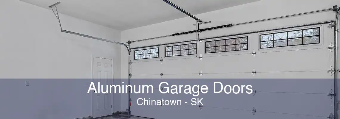 Aluminum Garage Doors Chinatown - SK