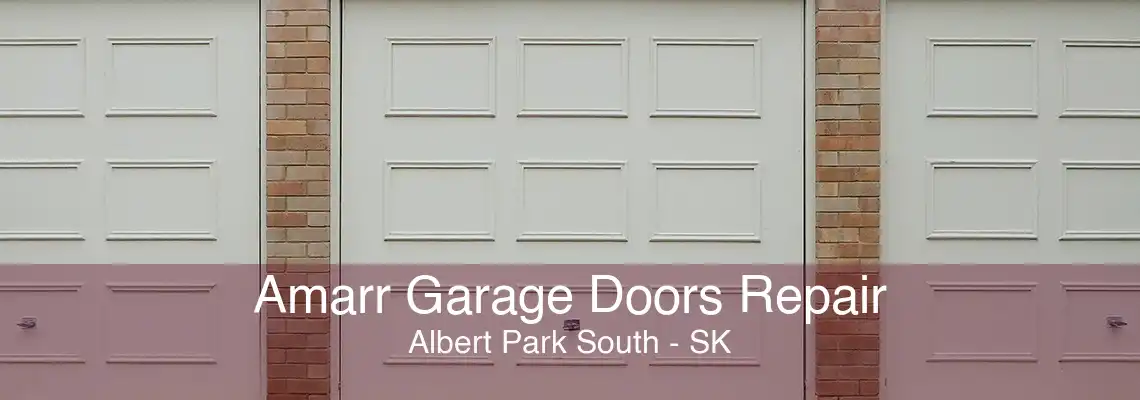 Amarr Garage Doors Repair Albert Park South - SK