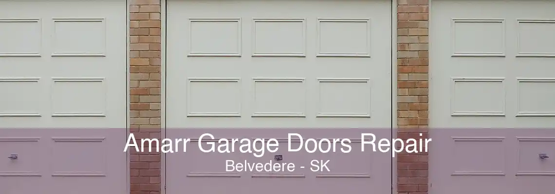 Amarr Garage Doors Repair Belvedere - SK