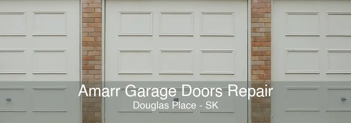 Amarr Garage Doors Repair Douglas Place - SK