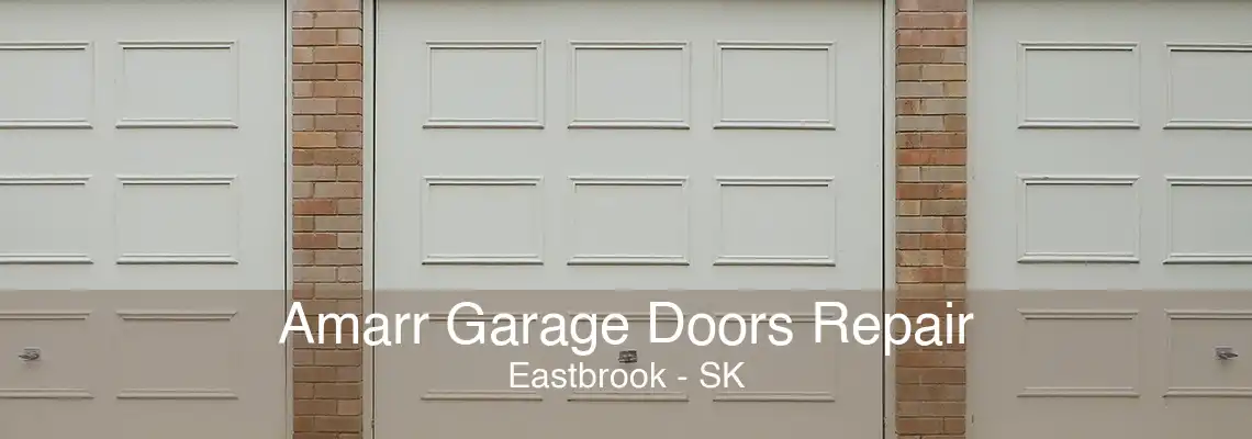 Amarr Garage Doors Repair Eastbrook - SK