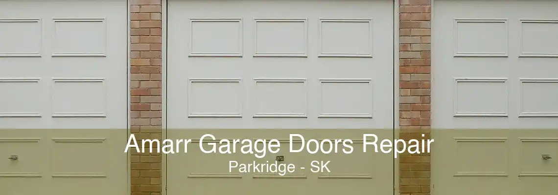 Amarr Garage Doors Repair Parkridge - SK