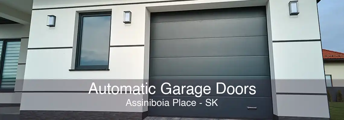 Automatic Garage Doors Assiniboia Place - SK