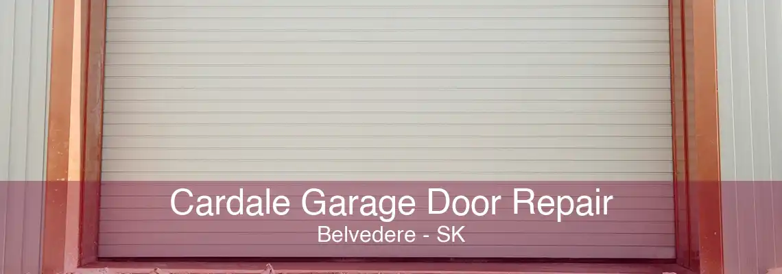 Cardale Garage Door Repair Belvedere - SK