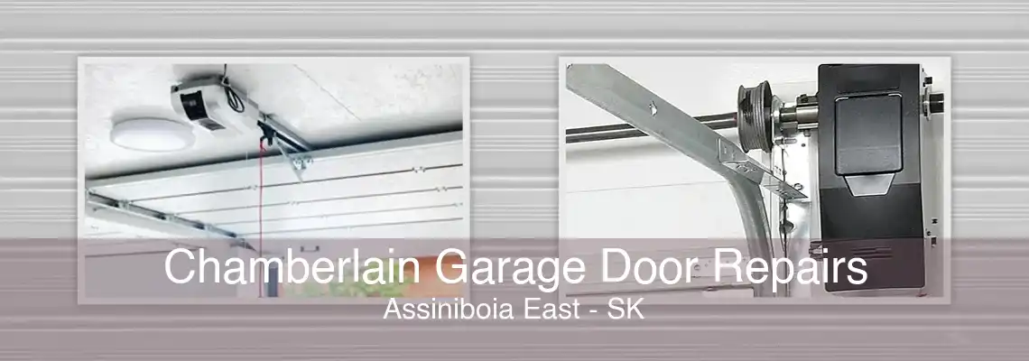 Chamberlain Garage Door Repairs Assiniboia East - SK