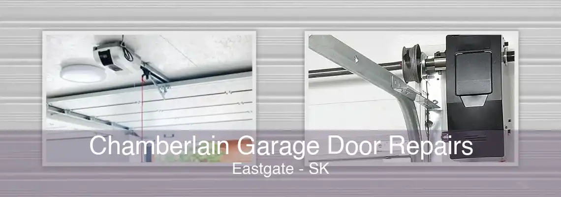 Chamberlain Garage Door Repairs Eastgate - SK