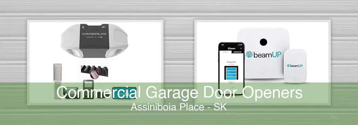 Commercial Garage Door Openers Assiniboia Place - SK