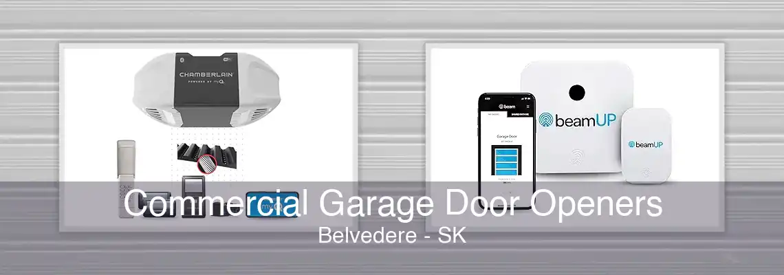 Commercial Garage Door Openers Belvedere - SK