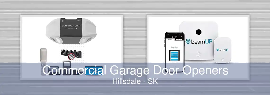 Commercial Garage Door Openers Hillsdale - SK