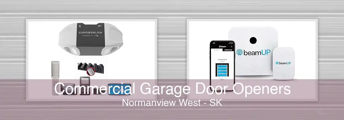 Commercial Garage Door Openers Normanview West - SK