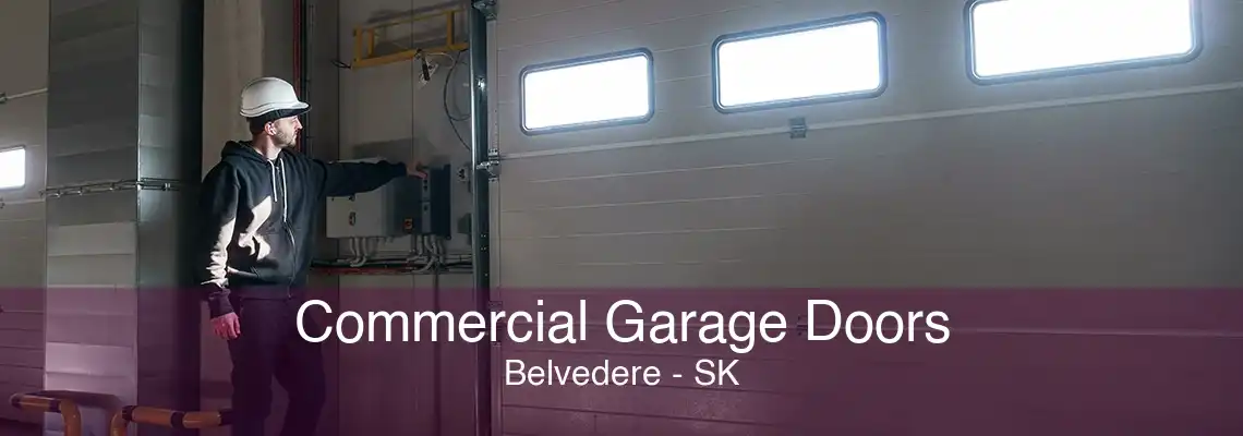 Commercial Garage Doors Belvedere - SK