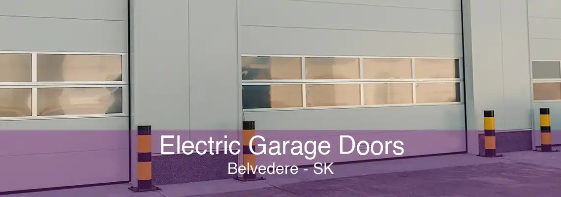 Electric Garage Doors Belvedere - SK