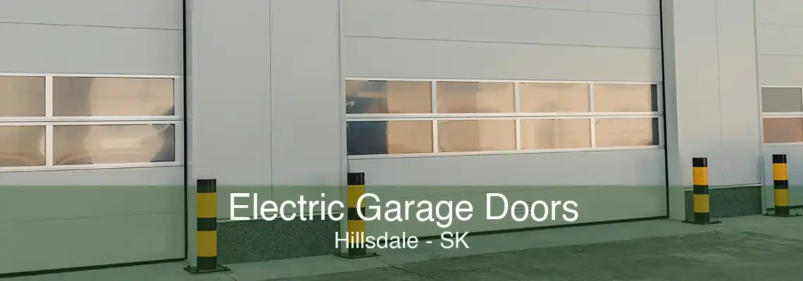 Electric Garage Doors Hillsdale - SK