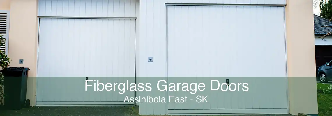 Fiberglass Garage Doors Assiniboia East - SK