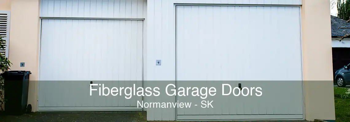 Fiberglass Garage Doors Normanview - SK