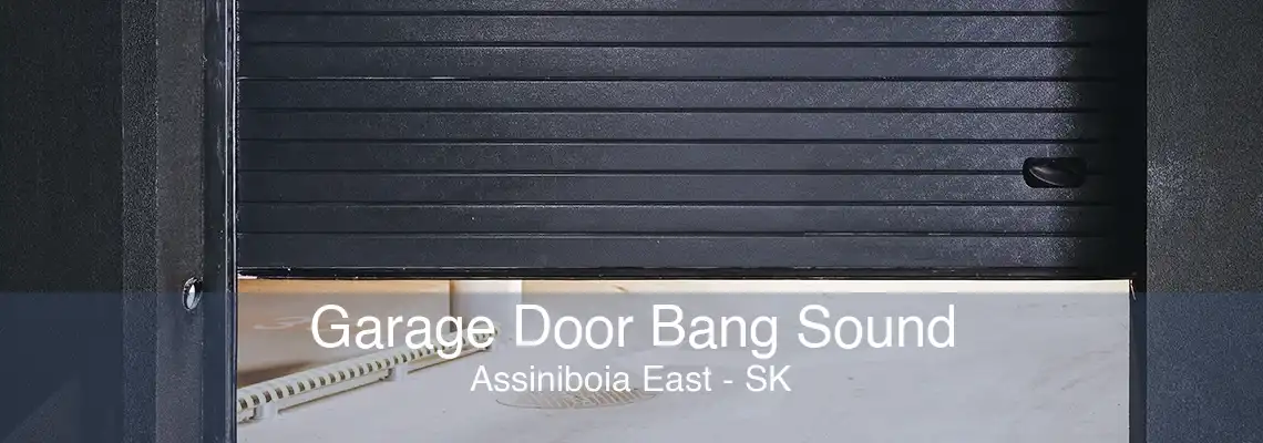 Garage Door Bang Sound Assiniboia East - SK