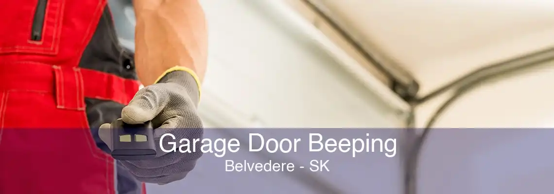 Garage Door Beeping Belvedere - SK