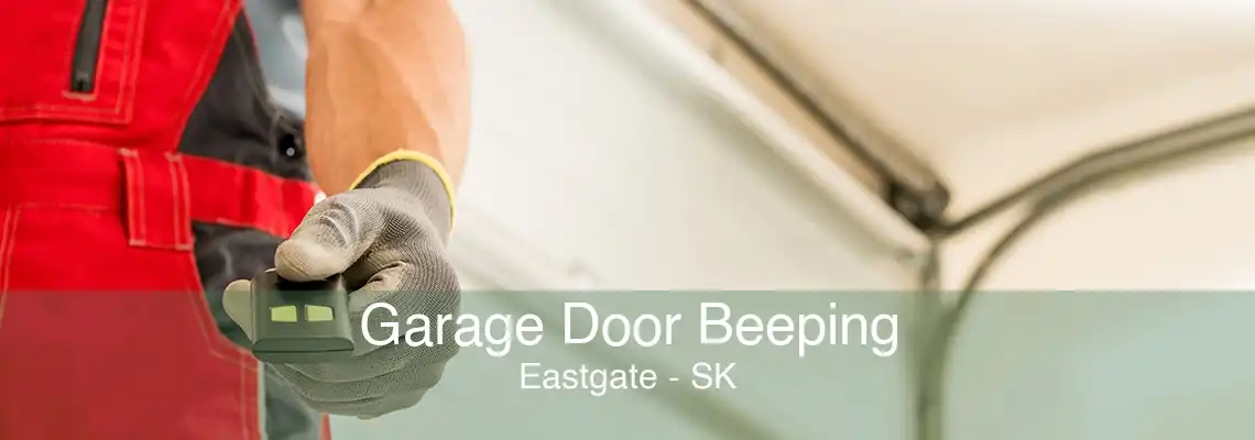 Garage Door Beeping Eastgate - SK