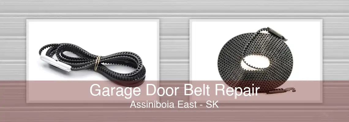 Garage Door Belt Repair Assiniboia East - SK