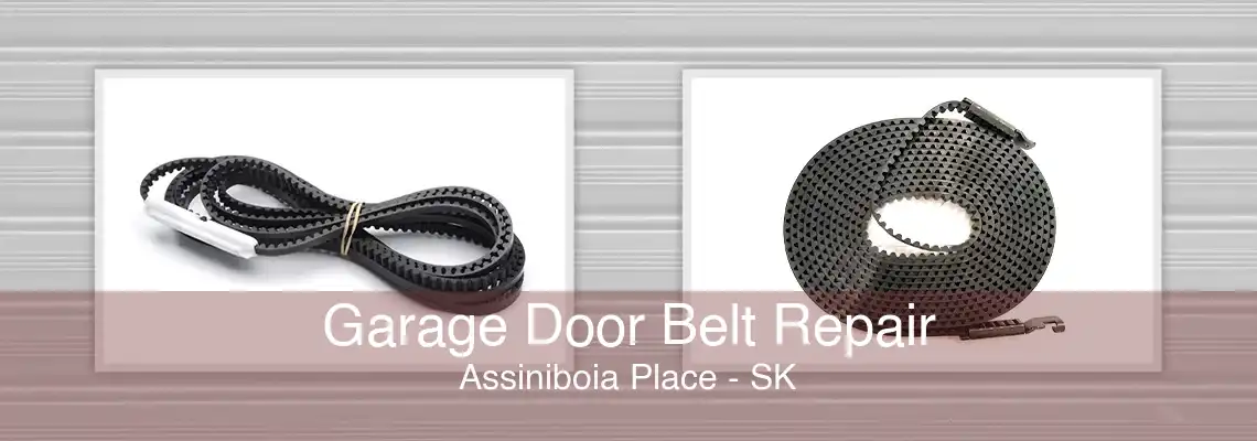 Garage Door Belt Repair Assiniboia Place - SK