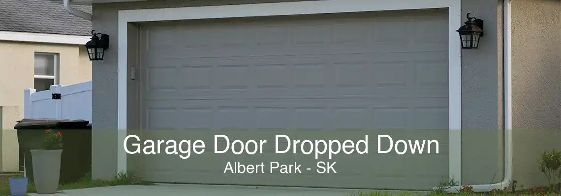 Garage Door Dropped Down Albert Park - SK