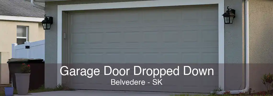 Garage Door Dropped Down Belvedere - SK