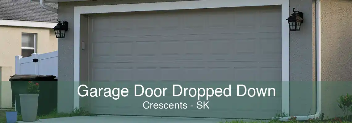 Garage Door Dropped Down Crescents - SK