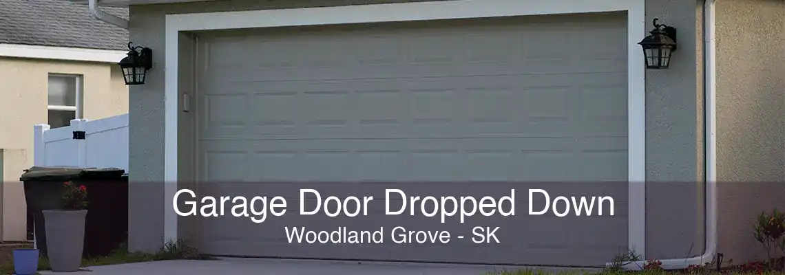 Garage Door Dropped Down Woodland Grove - SK