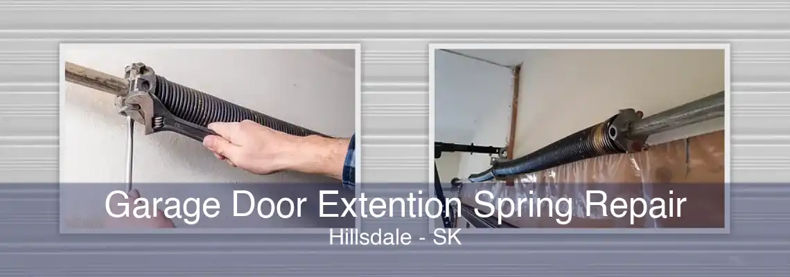 Garage Door Extention Spring Repair Hillsdale - SK