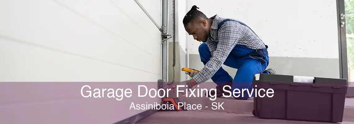 Garage Door Fixing Service Assiniboia Place - SK