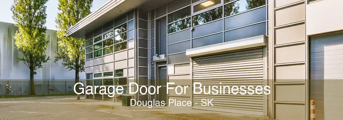 Garage Door For Businesses Douglas Place - SK