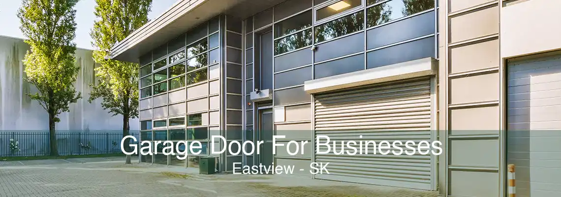 Garage Door For Businesses Eastview - SK