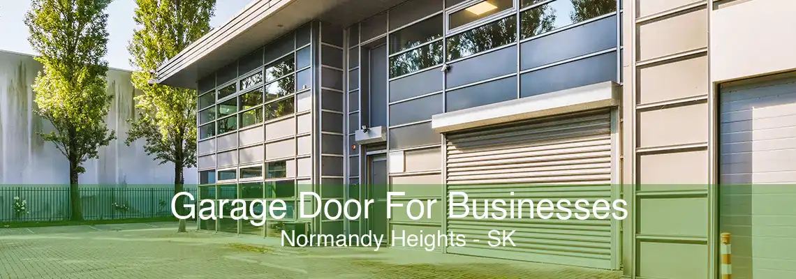 Garage Door For Businesses Normandy Heights - SK