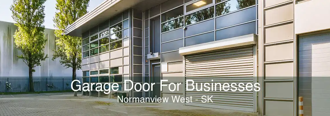 Garage Door For Businesses Normanview West - SK