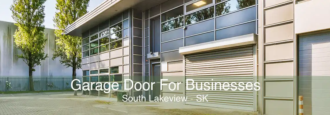 Garage Door For Businesses South Lakeview - SK