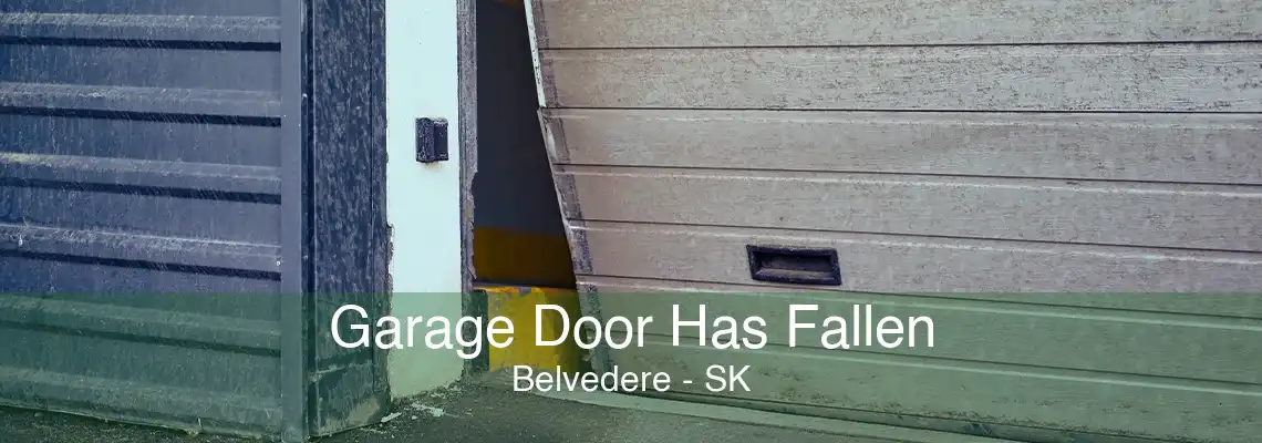 Garage Door Has Fallen Belvedere - SK