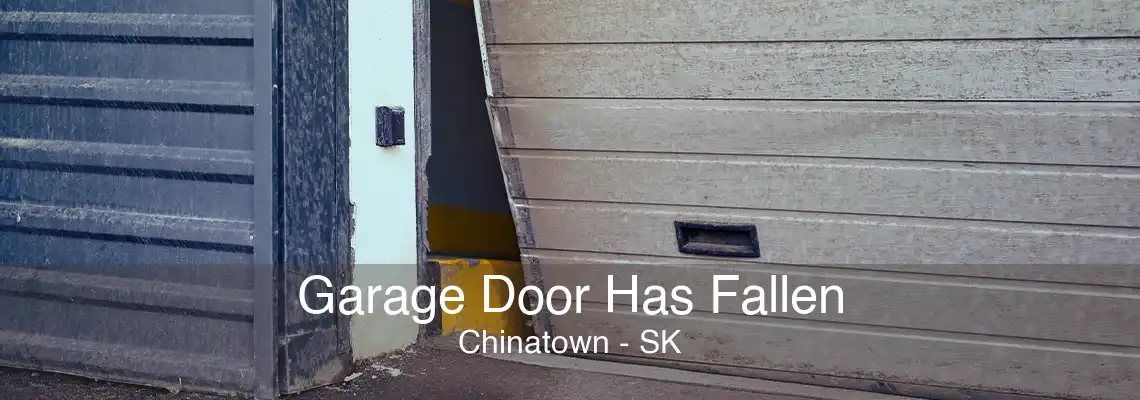 Garage Door Has Fallen Chinatown - SK