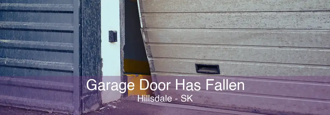 Garage Door Has Fallen Hillsdale - SK