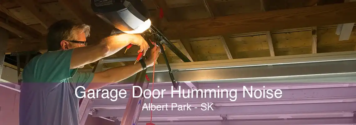 Garage Door Humming Noise Albert Park - SK