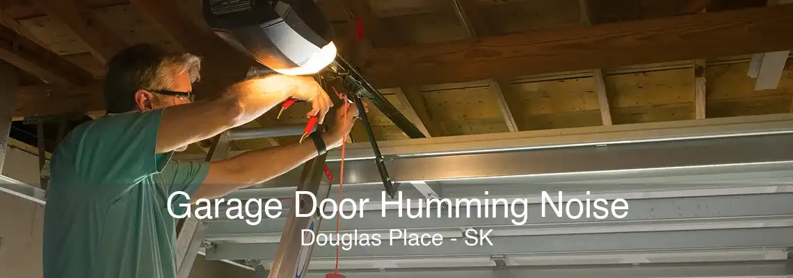 Garage Door Humming Noise Douglas Place - SK