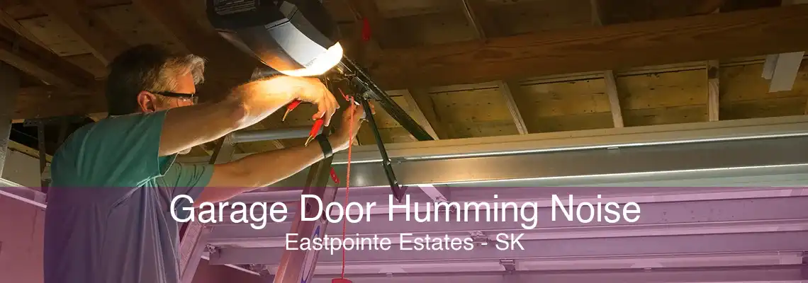 Garage Door Humming Noise Eastpointe Estates - SK