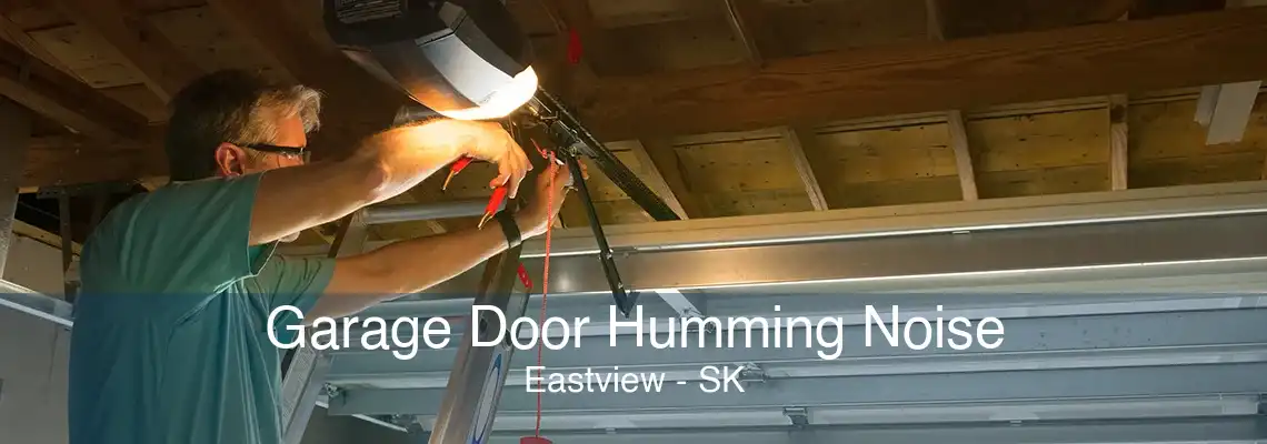 Garage Door Humming Noise Eastview - SK