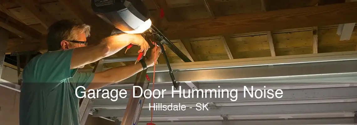 Garage Door Humming Noise Hillsdale - SK