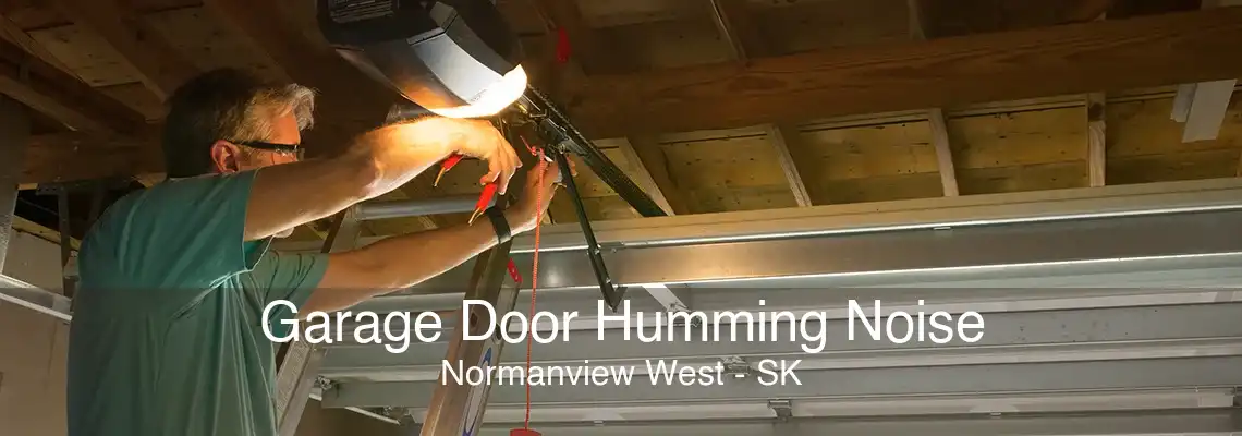 Garage Door Humming Noise Normanview West - SK