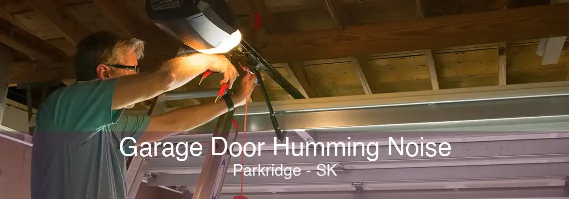 Garage Door Humming Noise Parkridge - SK