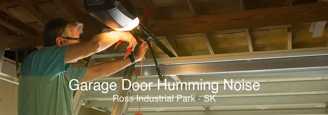 Garage Door Humming Noise Ross Industrial Park - SK