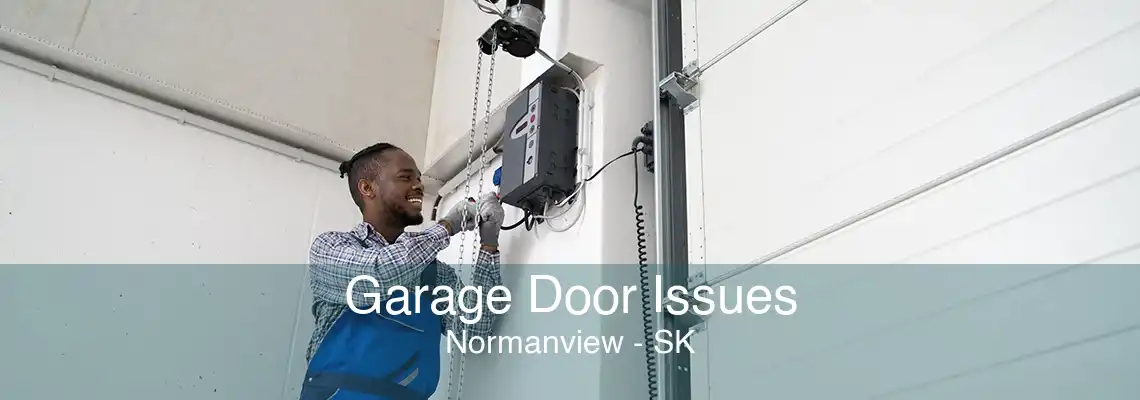 Garage Door Issues Normanview - SK