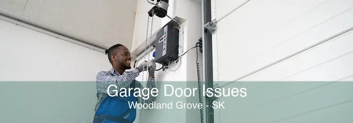 Garage Door Issues Woodland Grove - SK