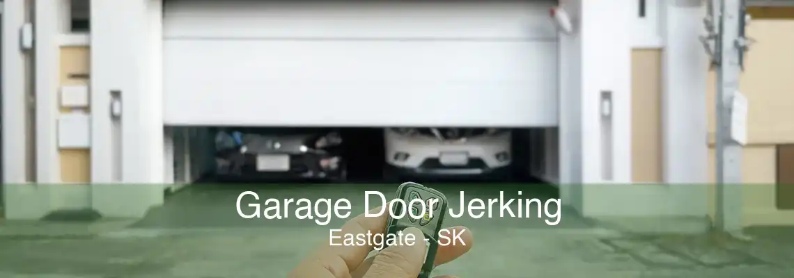 Garage Door Jerking Eastgate - SK